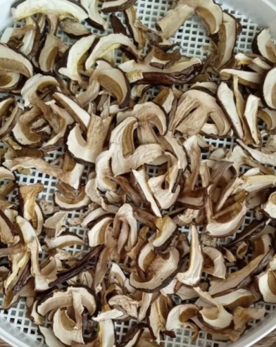 Сушеный белый гриб боровик ( ПРЕМИУМ КАЧЕСТВО ) банка 1 литр Сушеный белый гриб боровик ( ПРЕМИУМ КАЧЕСТВО ) банка 1 литр