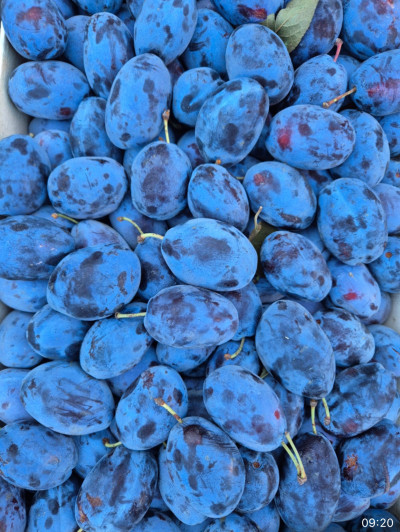 Слива чернослив сладкий 500 гр Слива чернослив сладкий 500 гр