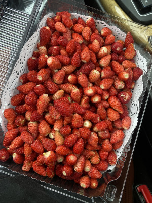 Земляника садовая 200 гр Земляника садовая 200 гр